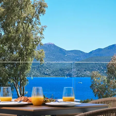 Apartment Pillow Nikiana